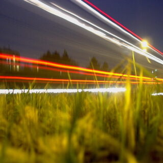 (C) - Bestvenca - CC