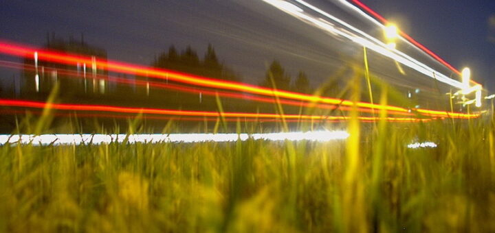 (C) - Bestvenca - CC