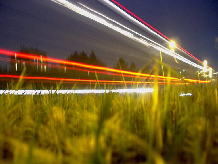 (C) - Bestvenca - CC