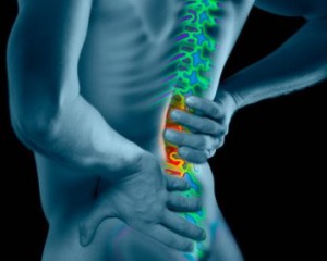 bolesti bedrovej chrbtice